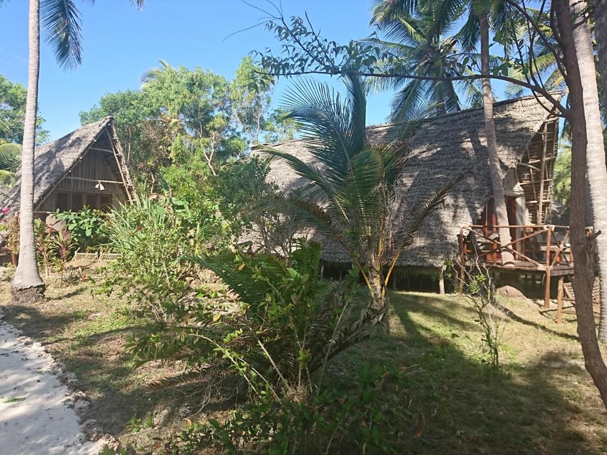 Coco Reef Ecolodge Kizimkazi Exteriör bild