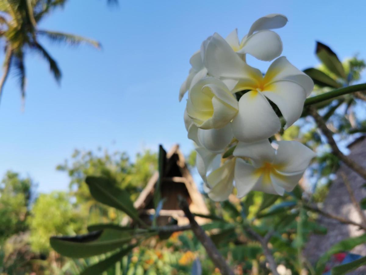 Coco Reef Ecolodge Kizimkazi Exteriör bild