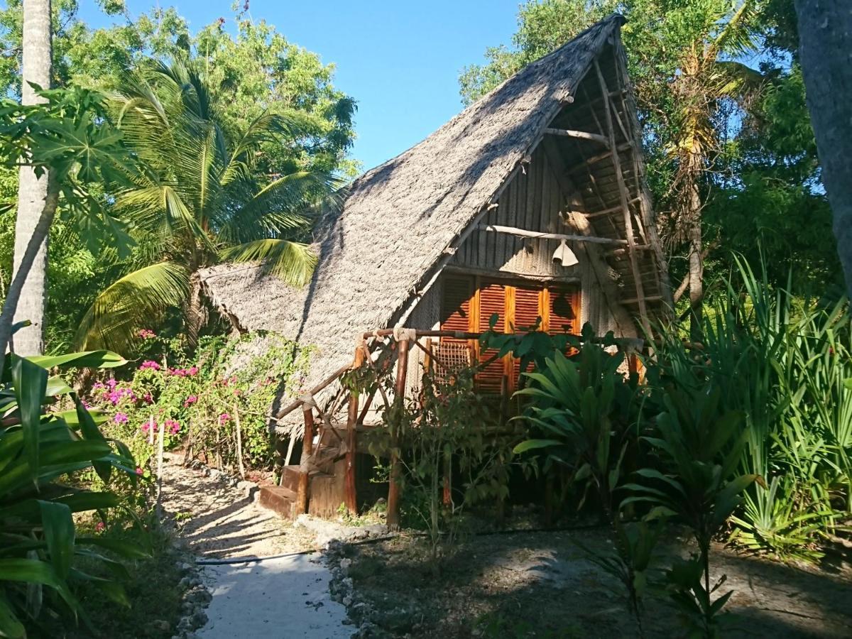 Coco Reef Ecolodge Kizimkazi Exteriör bild