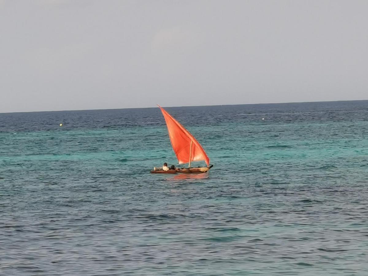 Coco Reef Ecolodge Kizimkazi Exteriör bild