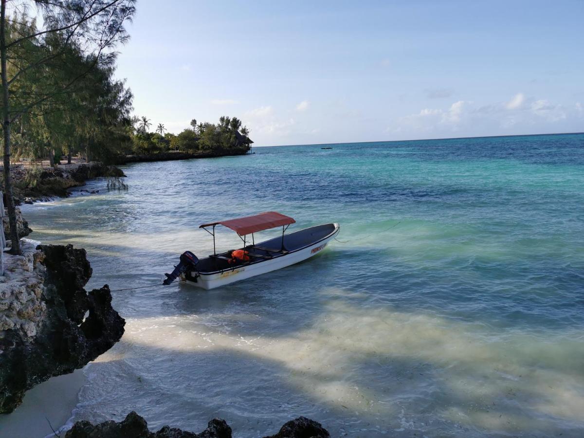 Coco Reef Ecolodge Kizimkazi Exteriör bild