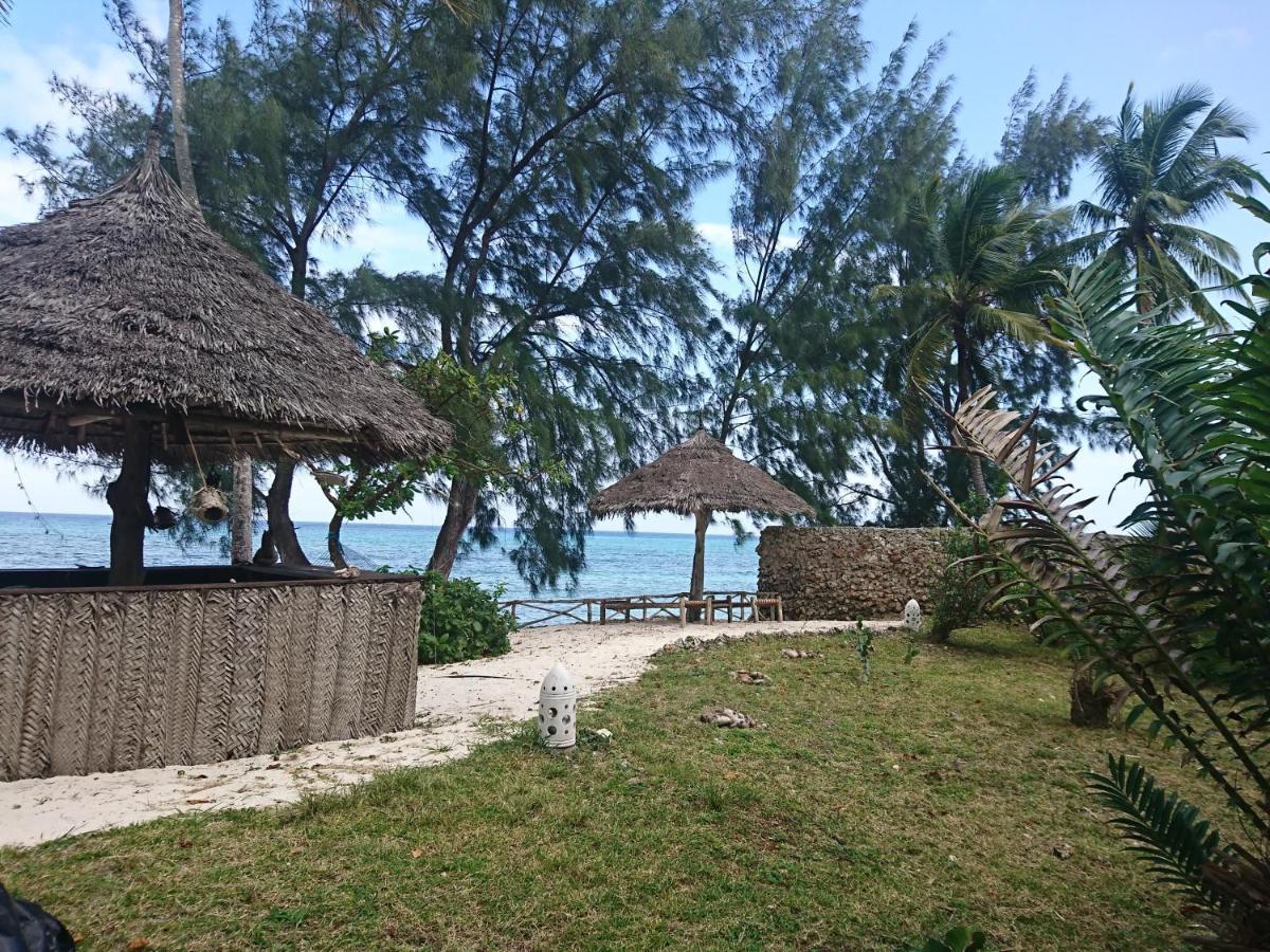 Coco Reef Ecolodge Kizimkazi Exteriör bild